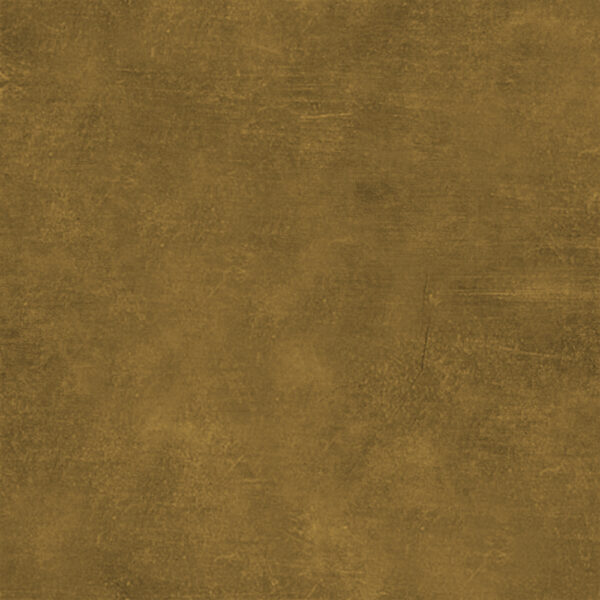 ARCHITECTURAL BRONZE - ENVISION STEEL DOORS
