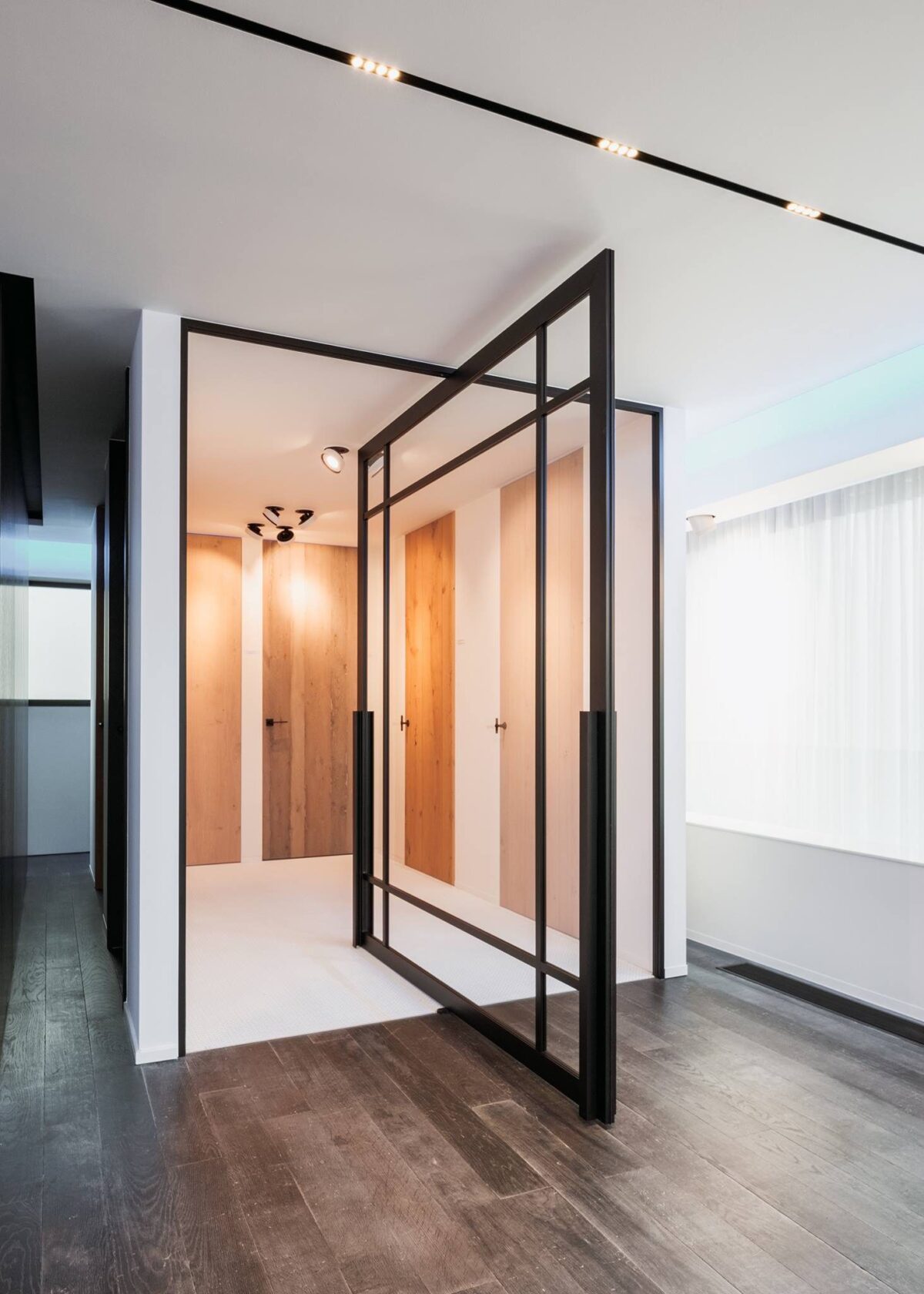 RESIDENTIAL STEEL PROJECTS - Pivot Doors - ENVISION STEEL DOORS